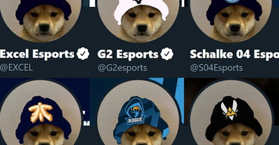 O co chodzi z memem psa w e-sportowych czapkach?