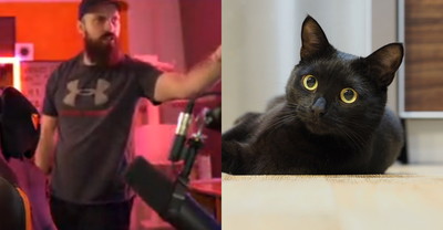 Streamer Twitch zbanowany za bicie kota podczas transmisji