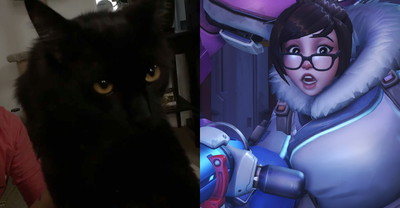 Mei została zbanowana w Overwatch League za sprawą kota. Bany wybierał pupil