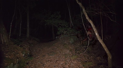 Fiddlesticks przeniesiony do rzeczywistości. Przerażająca postać w lesie