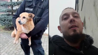 Ochrona zwierząt odebrała psa Danielowi Magicalowi. „Patologia nie dba o zwierzęta”