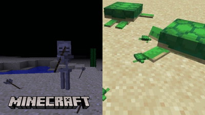 Szkielet z Minecrafta usilnie próbował powalić małego żółwia. Filmik z jego starań rozbawił graczy