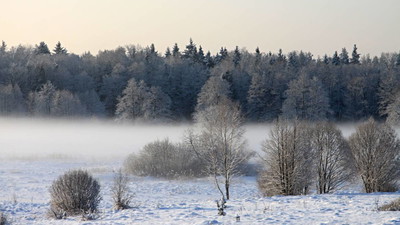Jaka pogoda na następny tydzień? Będzie wiosna