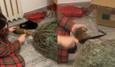 „Zaradne kobiety z nas”. Dziewczyna pokazuje, jak ucina choinkę