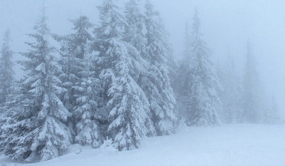 Jaka naprawdę będzie pogoda w tym tygodniu?