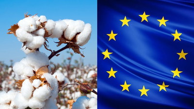 Koniec bawełnianych ciuchów? Unia Europejska szykuje zakaz