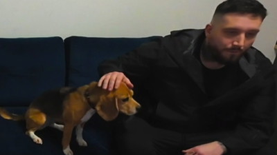 Po wczoraj Boxdel pojechał do streamera i wziął psa do siebie