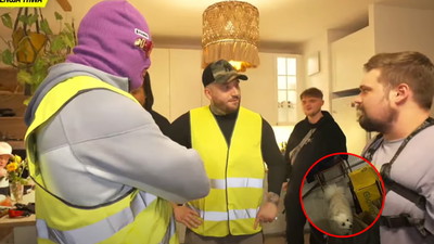 Boxdel pojechał na interwencję do psa streamera, a skończyło się rozwaleniem auta
