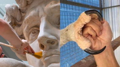 Te rzeczy są dużo większe, niż myślałeś. Oto porównanie z człowiekiem