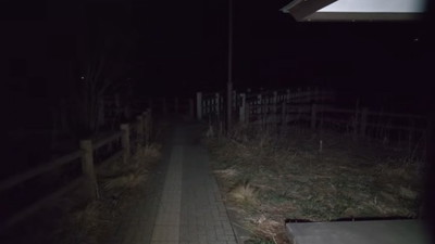 Usłyszeli dziwne jęki przy torach. To jest winowajca i źródło tych dźwięków