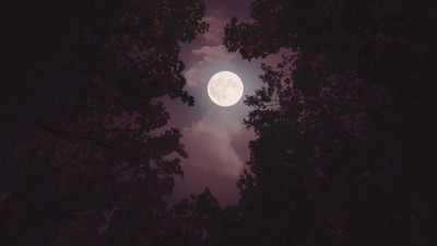 Nocne niebo w październiku. Kiedy pełnia Księżyca, nów, roje meteorów
