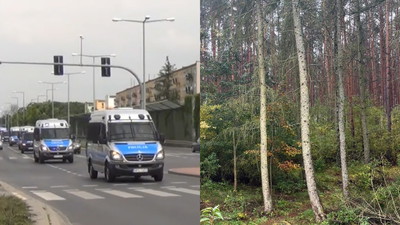 Psy byłego policjanta zagryzły mężczyznę. Lokalna policja wrzuca takie rzeczy