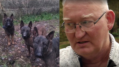 Kolejne niepokojące doniesienia o psach ze strzelnicy, które zagryzły 46-latka