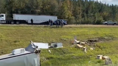 Z transportu uciekły niebezpiecznie małpy. Prawda wyszła na jaw
