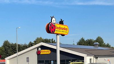 Ludzie się złapią na dzisiejszą promocję, a od środy Biedronka przeceni mocniej na 9,99 zł