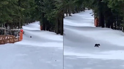 „Mały odkrywca wybiera się na wycieczkę”. Taki widok zastali turyści w Tatrach