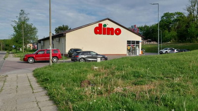 Sąsiadki mi nie wierzą, że to palma z Dino i nie za 150 złotych