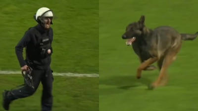 Pies policyjny przerwał mecz piłki nożnej w Mielcu. Hit, jakiego nie było