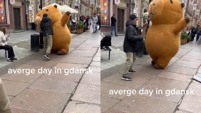 Typowy dzień w Gdańsku. Mężczyzna walczy z maskotką kapibary