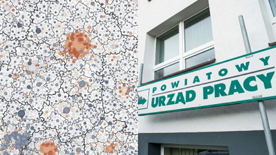 Gdzie w Polsce przybywa, a gdzie ubywa osób pracujących? Ludzie zaskoczeni