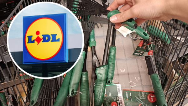 Działkowcy robią szturm na Lidl. Narzędzia ogrodnicze po 1,75 zł