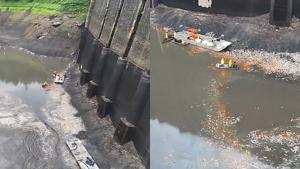 Tysiące martwych ryb na dnie odsłoniętego zbiornika i poniżej zapory na Bobrze