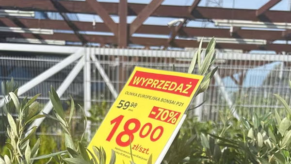 Salon wygląda jak toskańska willa. Castorama przecenia na 18 zł