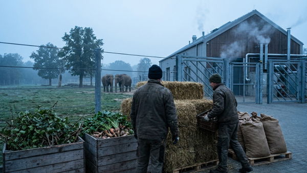 Jakie zwierzęta są najdroższe w ZOO?